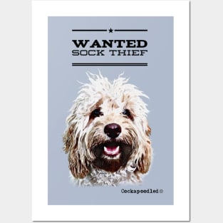 Cockapoo / Doodle Dog Sock Thief Posters and Art